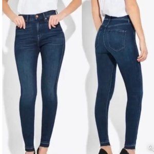 AYR The Skinny Jeans Released Hem Dark Wash - 26 x 30